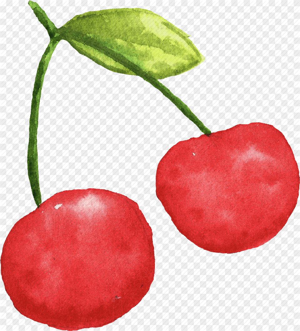 Cherry Cuisine Food Fruit Fruits Watercolor Watercolors Cherry Watercolor, Plant, Produce Free Png