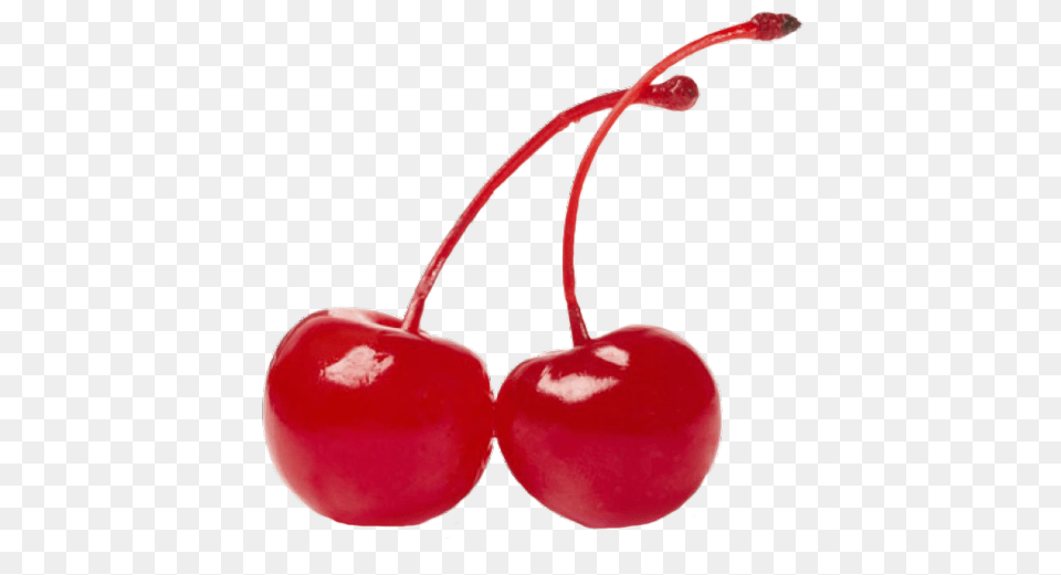 Cherry Download Transparent Image Arts, Food, Fruit, Plant, Produce Free Png