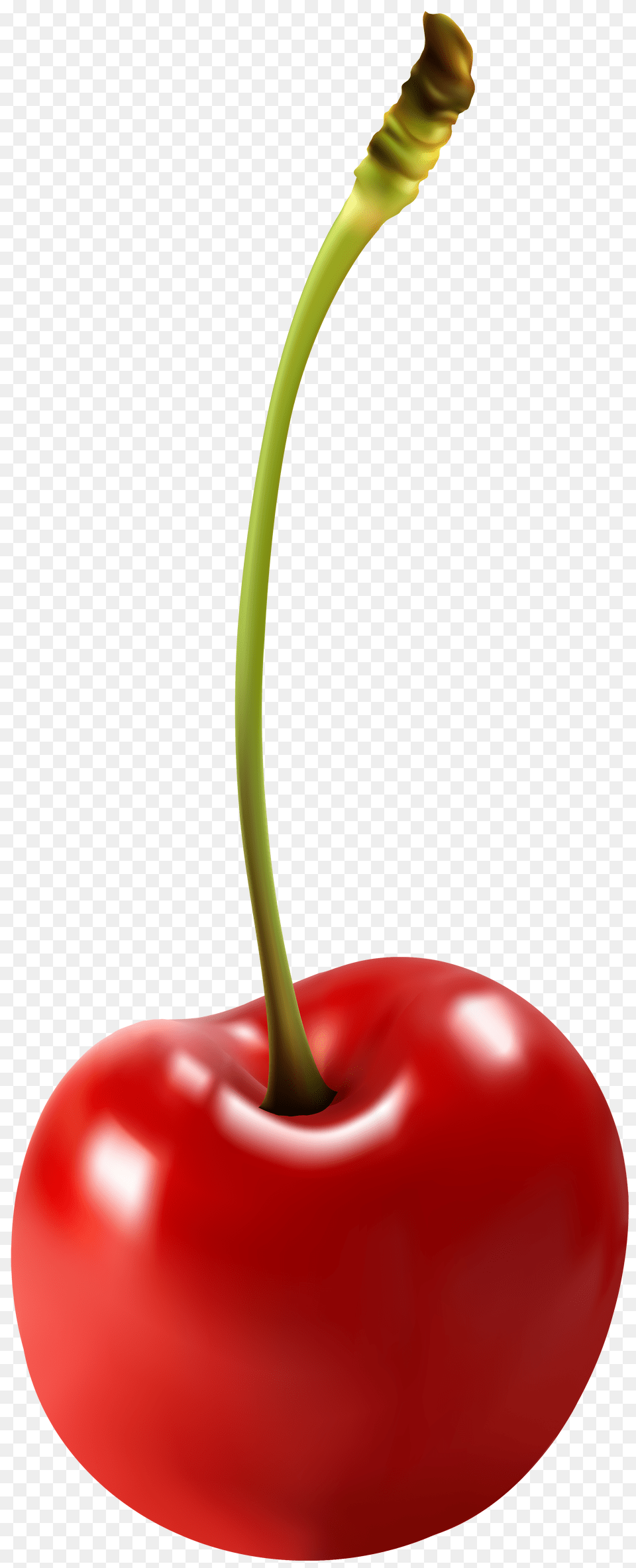 Cherry Clip Art, Food, Fruit, Plant, Produce Free Png
