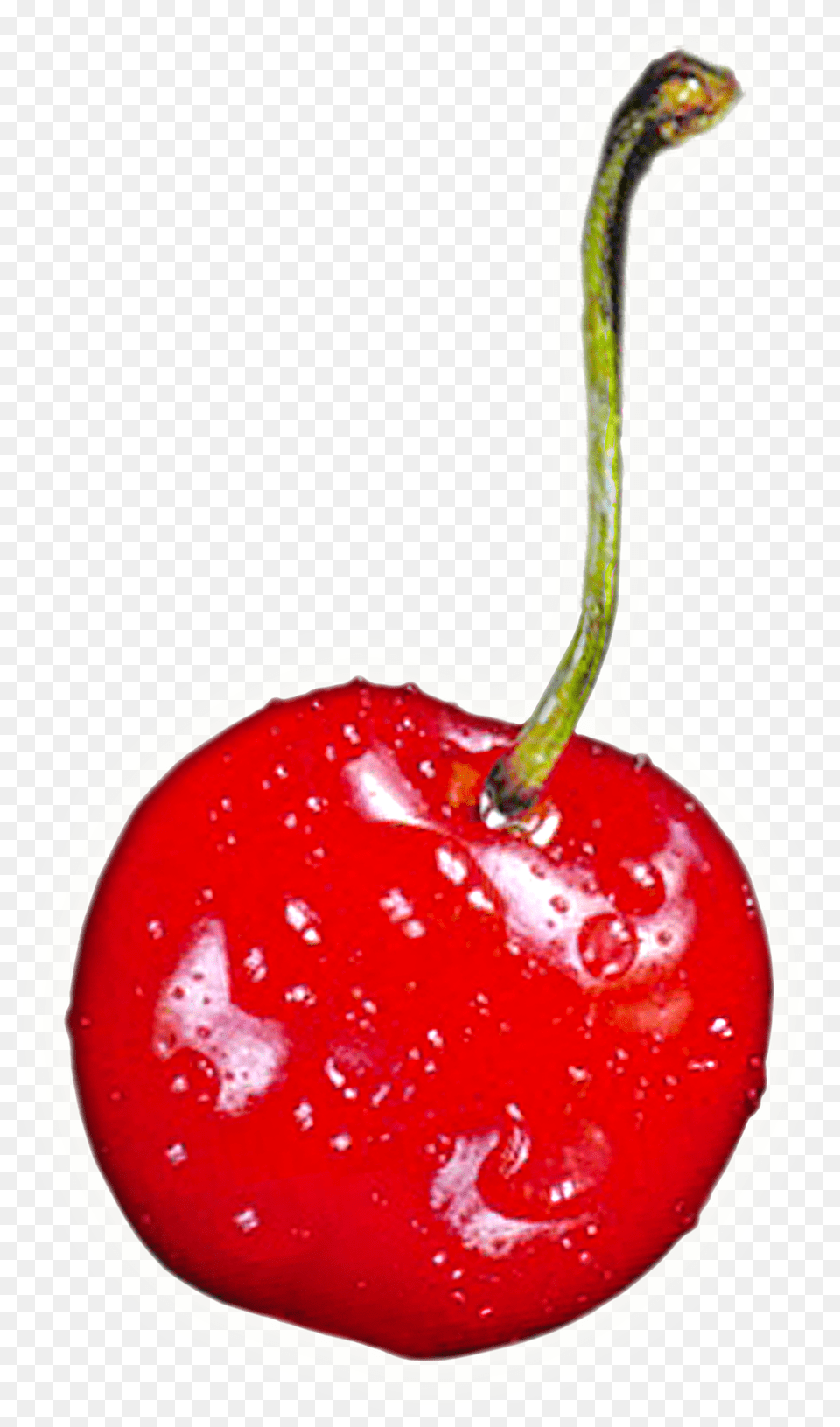 Cherry Download Red Cherries Fridge Magnet Stocking Filler Reff, Food, Fruit, Plant, Produce Free Png