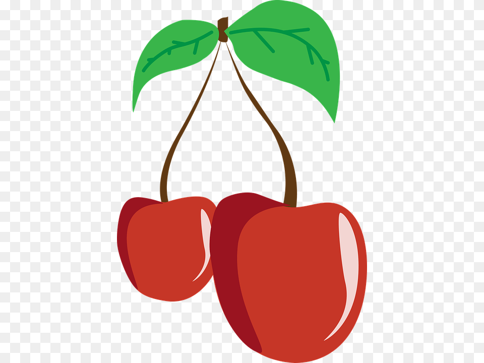 Cherry Fruit Cherries Leaf Nutrition Eating, Food, Plant, Produce Free Transparent Png