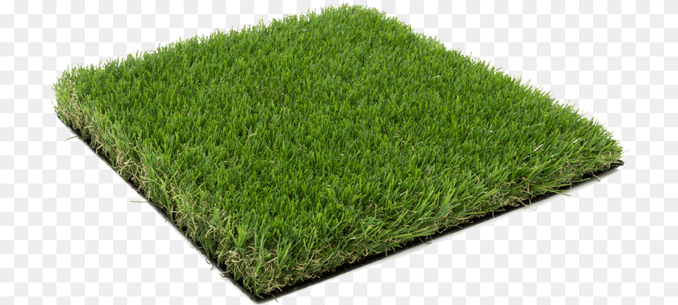 Cherry Hills Pasto Sintetico Para Maquetas, Grass, Lawn, Moss, Plant Free Png