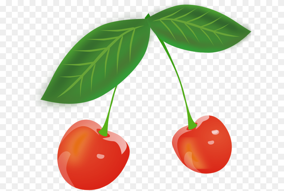 Cherry Images Cherry, Food, Fruit, Plant, Produce Png