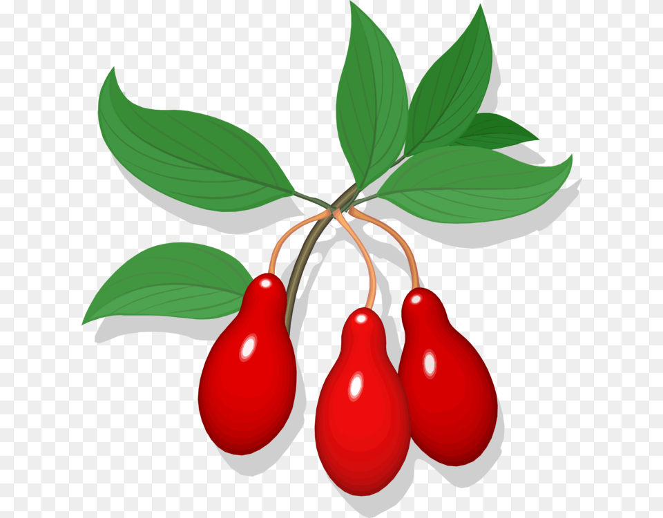 Cherry Line Art Fruit Auglis Drawing, Food, Plant, Produce, Leaf Free Png Download