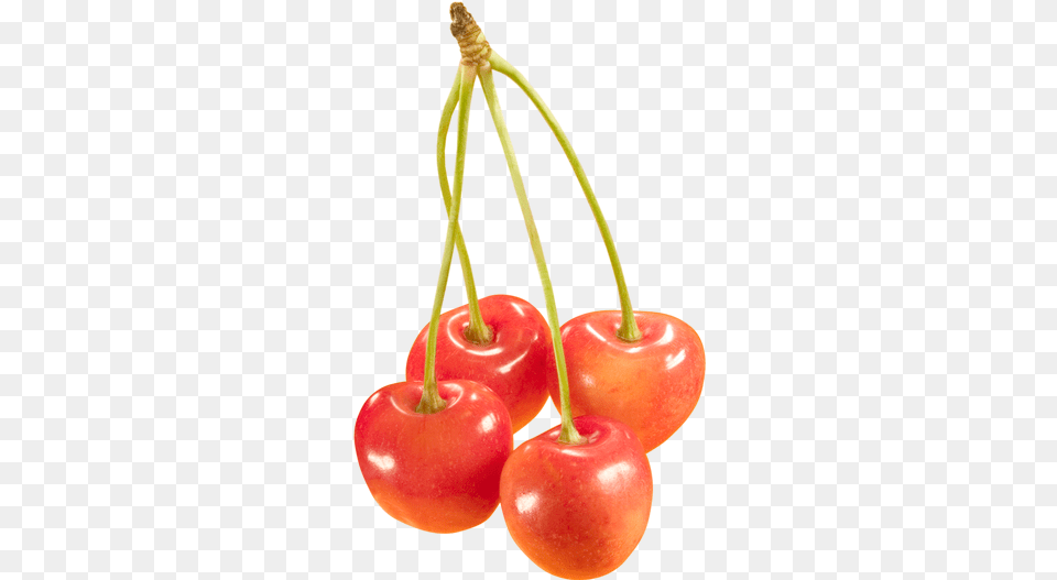 Cherry Orange Cherry, Food, Fruit, Plant, Produce Png