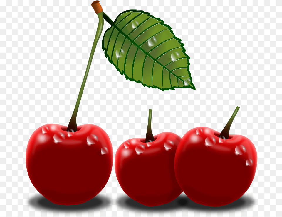 Cherry Plants Clip Art Image, Food, Fruit, Plant, Produce Free Transparent Png