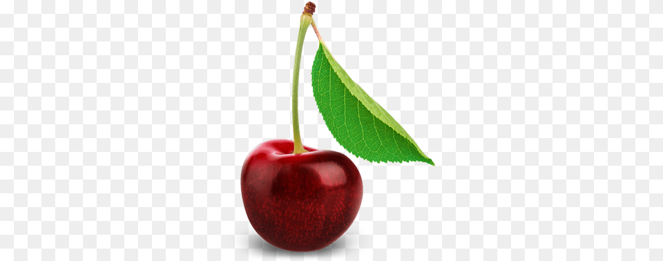 Cherry Single, Food, Fruit, Plant, Produce Free Transparent Png