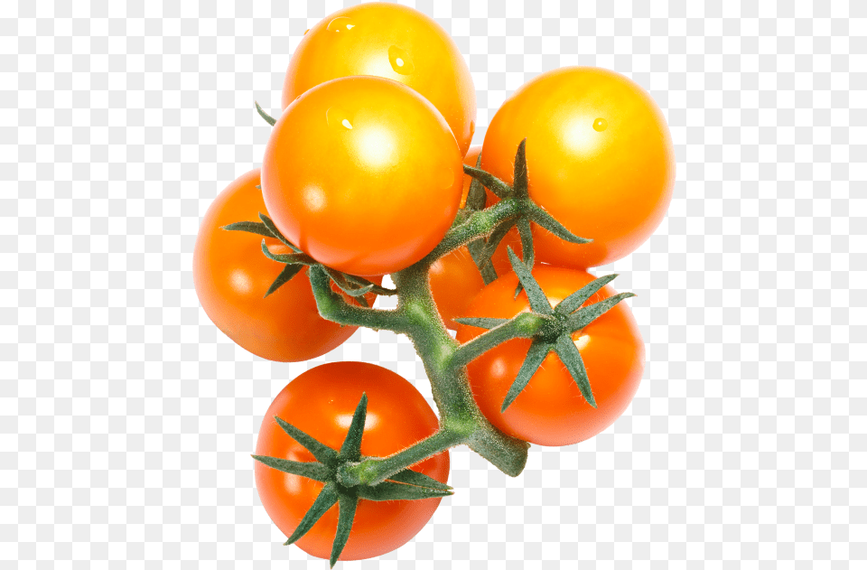 Cherry Tomato Cherry Tomatoes, Food, Plant, Produce, Vegetable Free Png Download