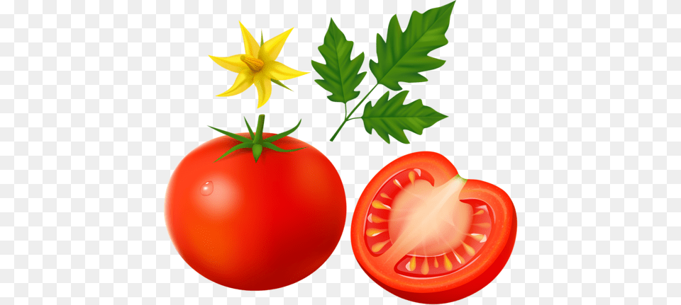 Cherry Tomato Clipart Long, Food, Plant, Produce, Vegetable Free Png