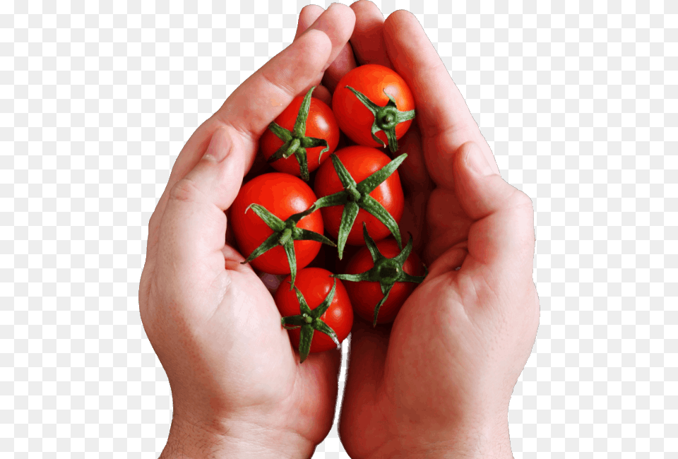 Cherry Tomatoes, Person, Body Part, Finger, Hand Png Image