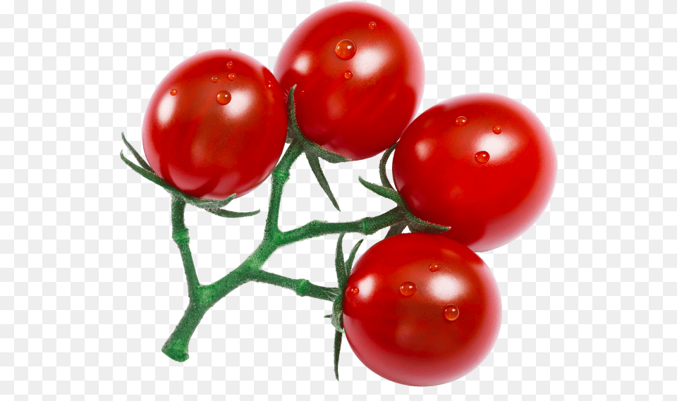 Cherry Tomatoes Plum Tomato, Food, Plant, Produce, Vegetable Free Transparent Png