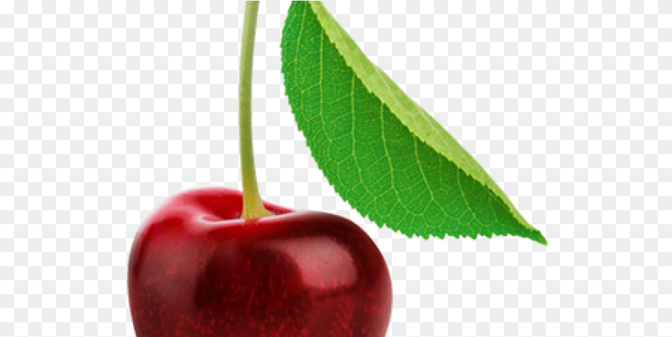 Cherry Transparent Images Single Cherry Fruits, Food, Fruit, Plant, Produce Free Png Download