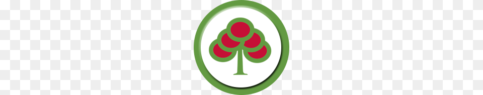 Cherry Tree Academy, Food, Fruit, Plant, Produce Png