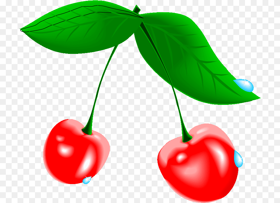 Cherry Tree Clipart At For Personal Cherry Blossom Fruit, Food, Plant, Produce Free Transparent Png