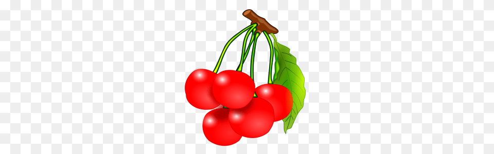 Cherry Tree Clipart Guava Tree, Food, Fruit, Plant, Produce Png