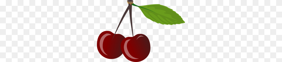 Cherry Vector Art, Food, Fruit, Plant, Produce Free Png