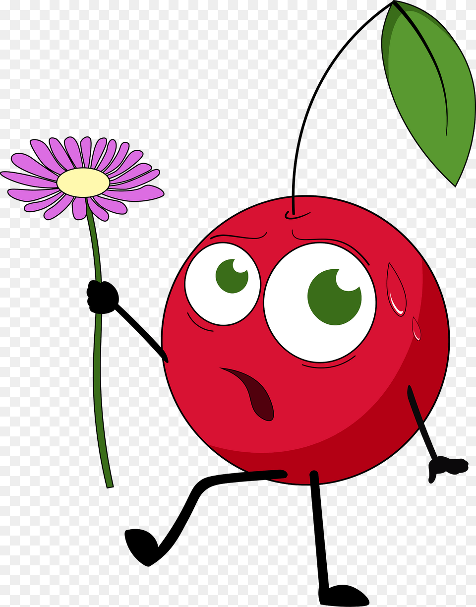 Cherry With Flower Clipart, Daisy, Plant, Petal, Food Png