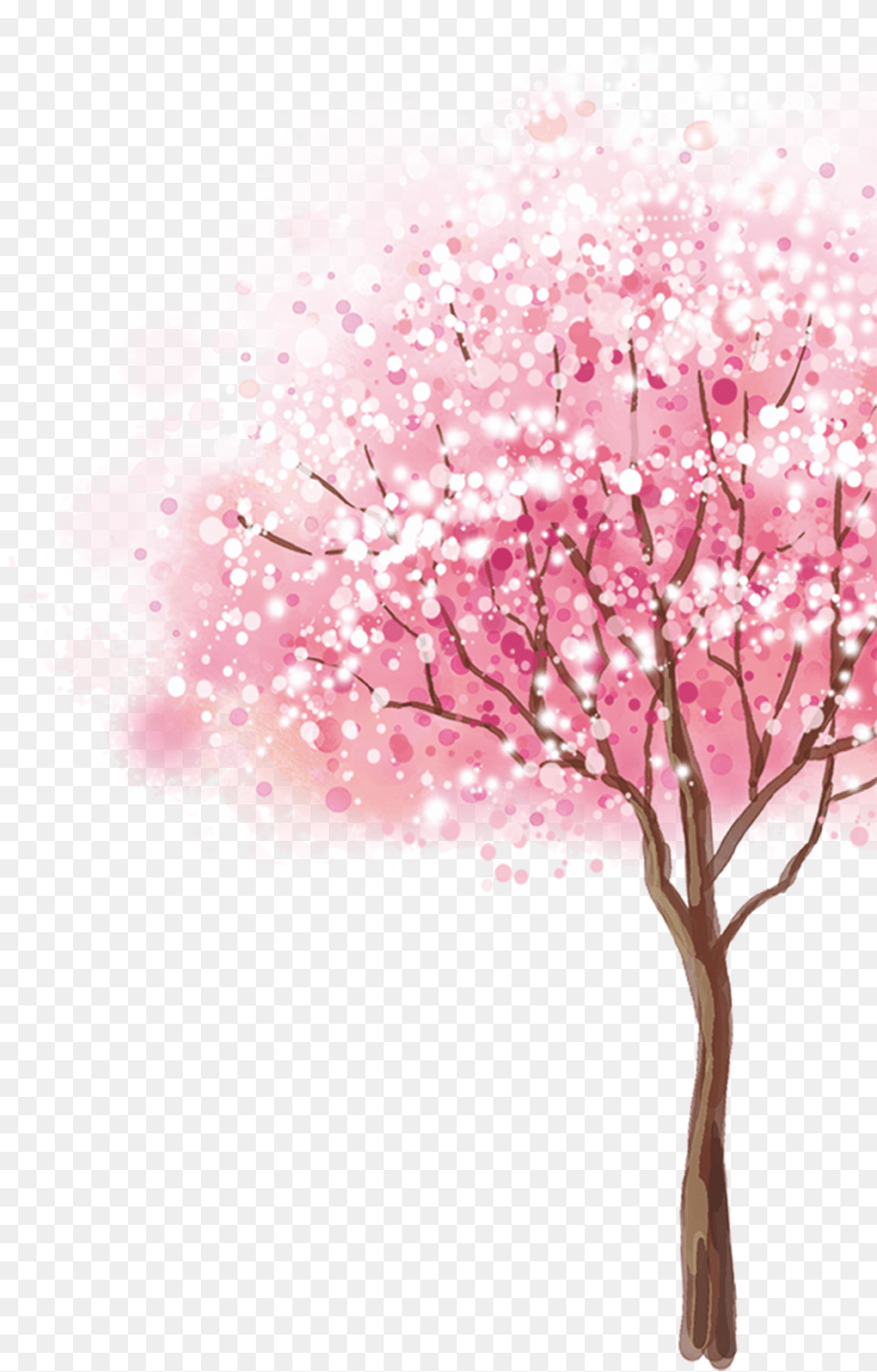 Cherryblossom Tree Cherry Blossom Tree Transparent Background, Flower, Plant, Cherry Blossom Png Image