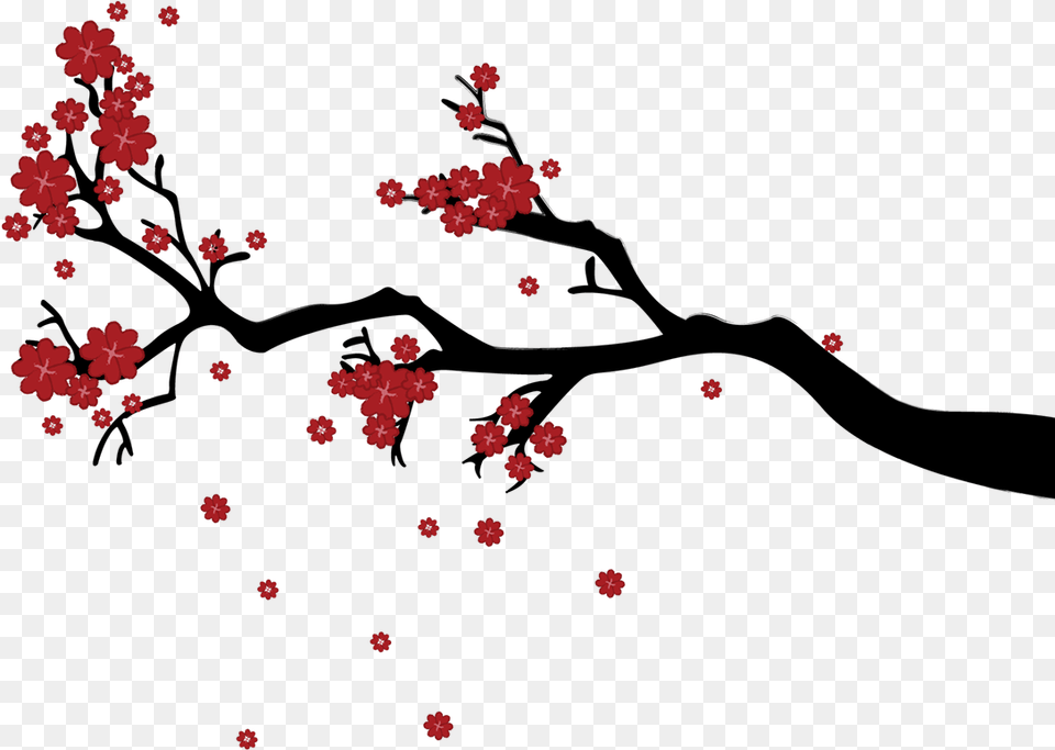 Cherrytree Cherry Blossom, Fireworks, Flower, Plant Free Png