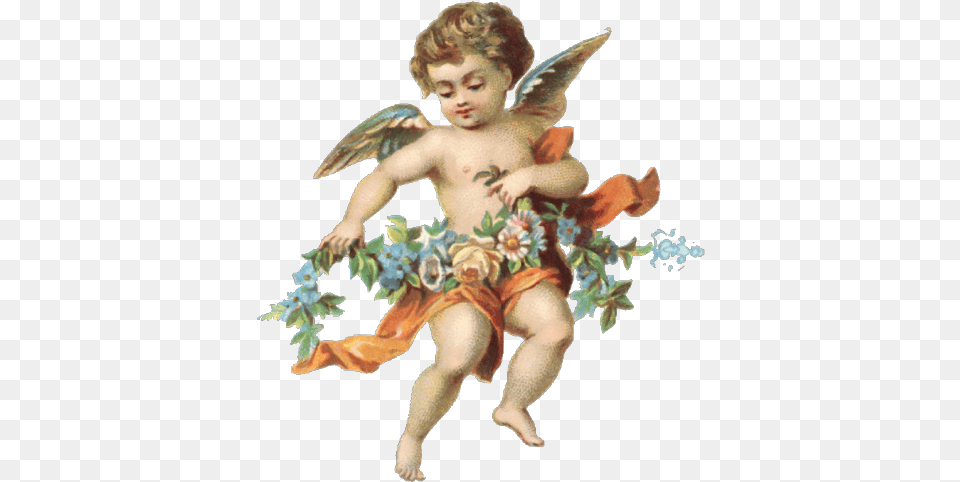 Cherub, Baby, Person, Angel, Face Free Png