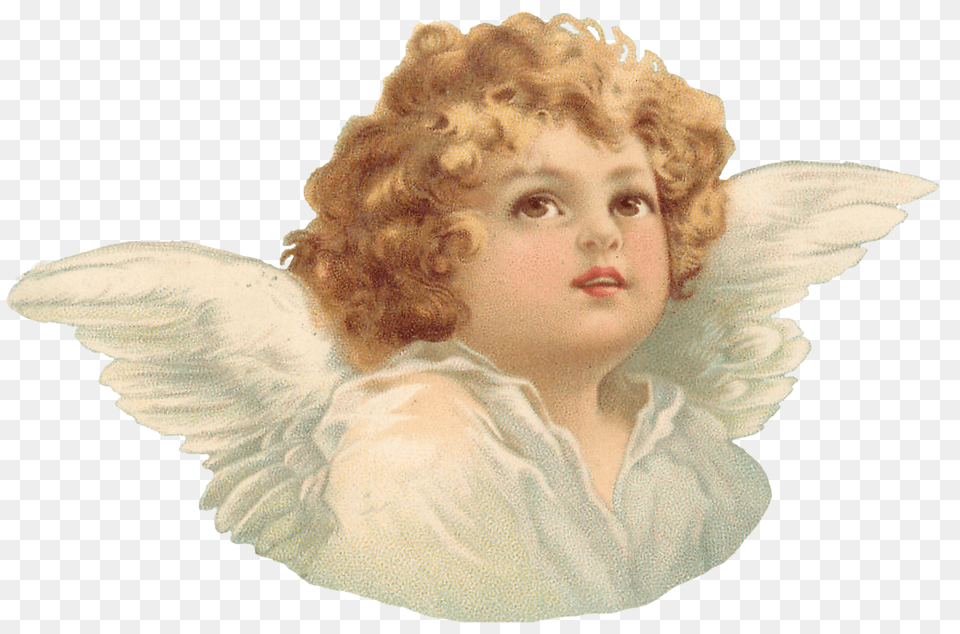 Cherub Torso 2 Angel Transparent Background, Baby, Person, Face, Head Png
