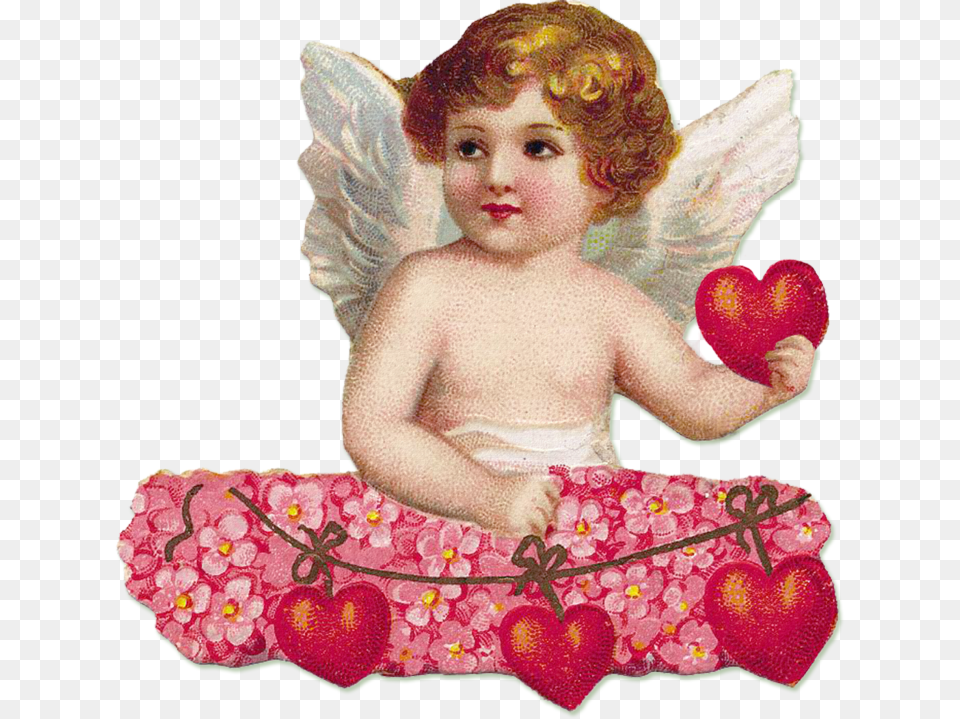 Cherub Wings Cherub Love, Baby, Person, Face, Head Png Image