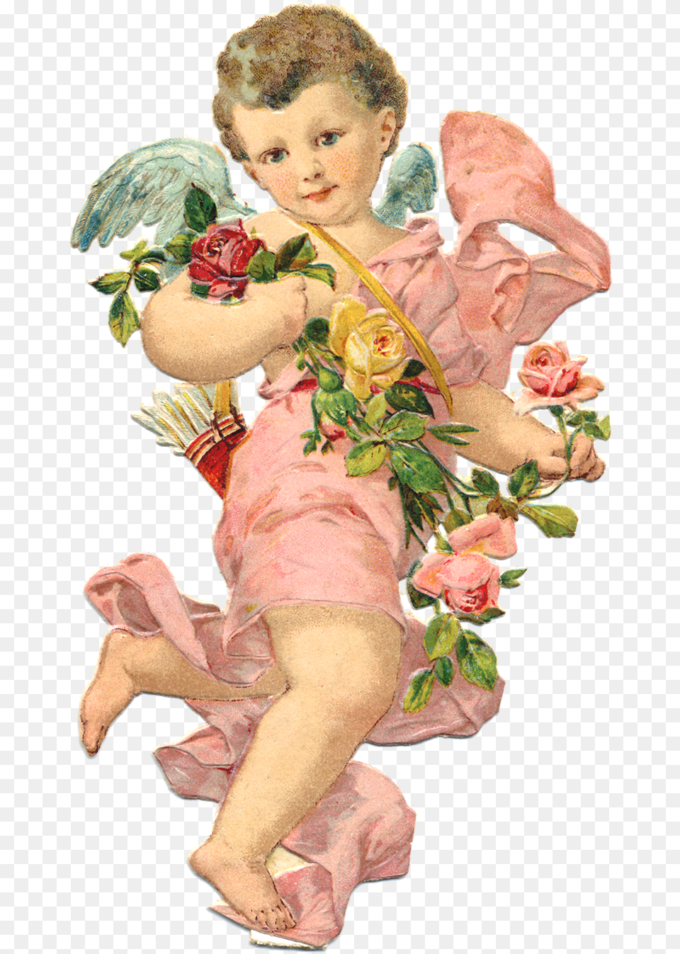 Cherubs, Baby, Person, Plant, Head Free Transparent Png