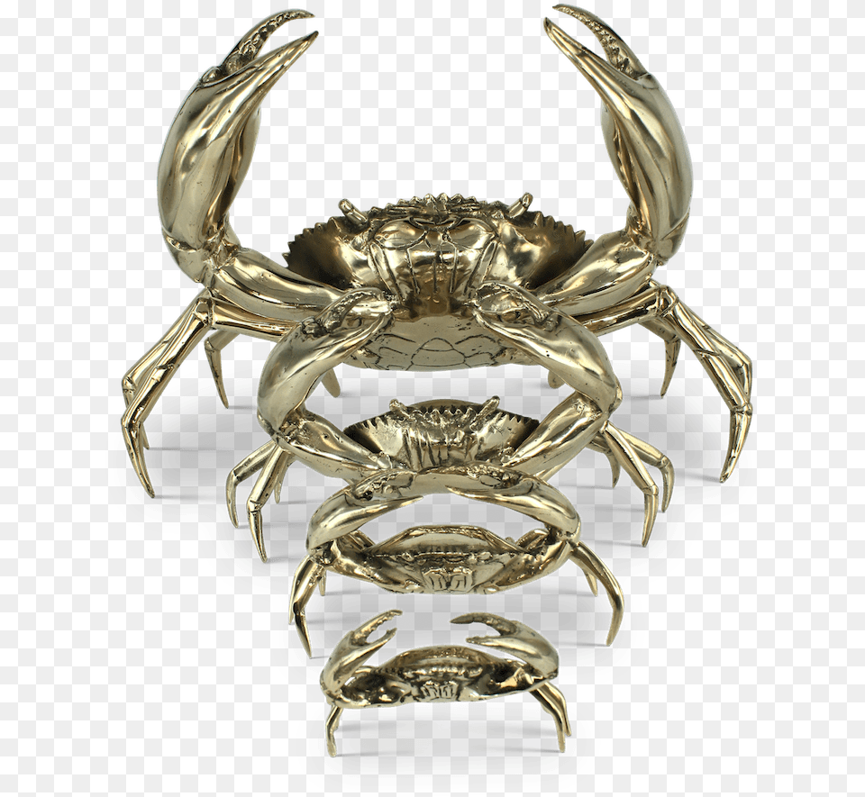Chesapeake Blue Crab, Food, Seafood, Animal, Sea Life Free Png Download