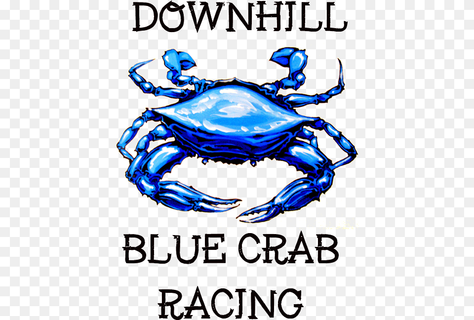 Chesapeake Blue Crab, Food, Seafood, Animal, Invertebrate Free Png Download