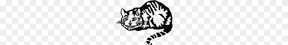 Cheshire Cat, Gray Free Png