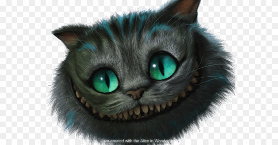 Cheshire Cat Gif Del Gato De Alicia En El Pais De Las Maravillas, Animal, Mammal, Pet Free Transparent Png