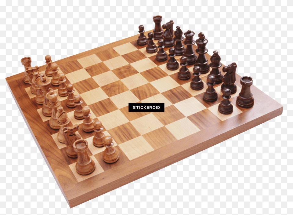 Chess Sport Bee Chess Free Png Download