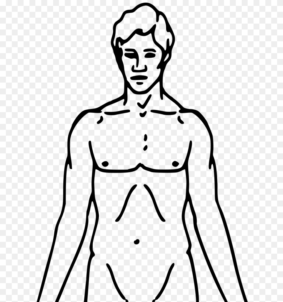 Chest Clipart Black And White Of Body Winging, Gray Free Png Download