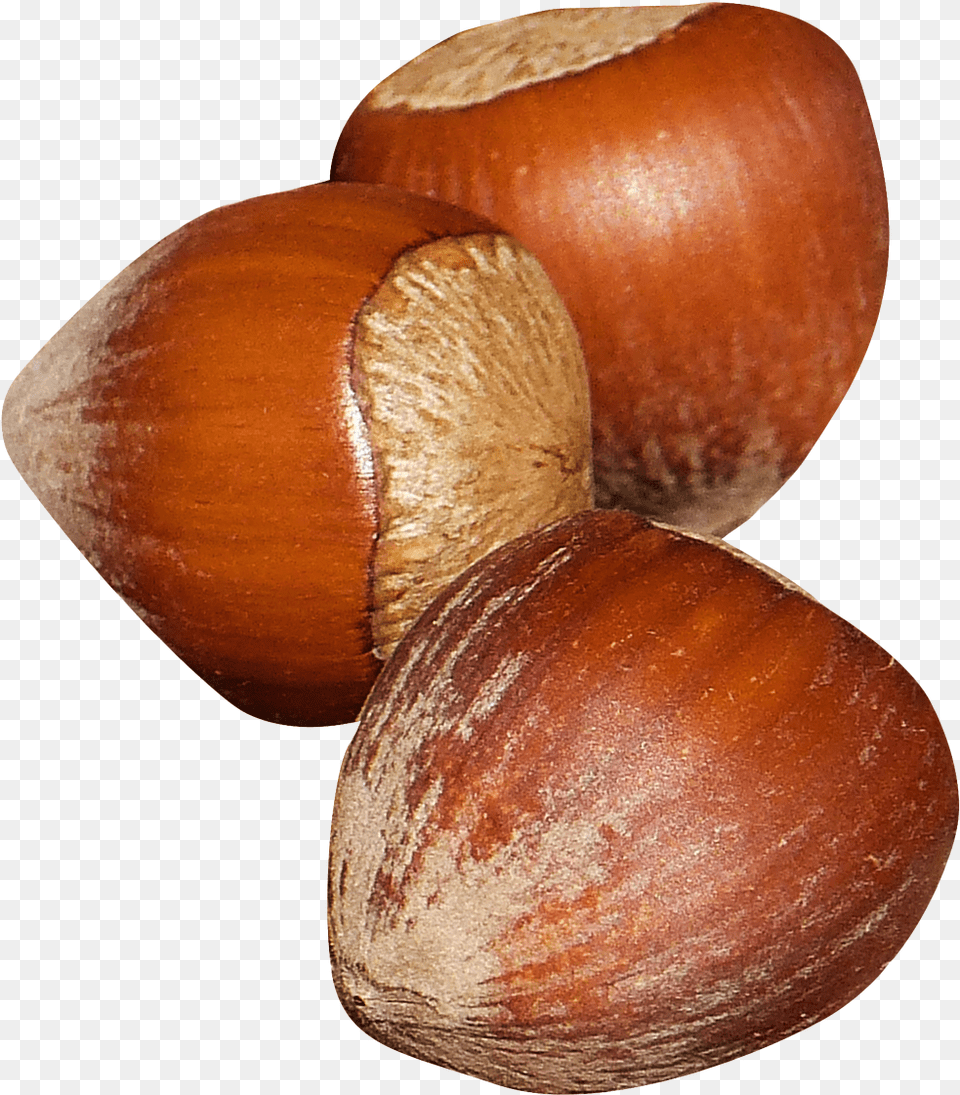 Chest Nuts Transparent, Food, Nut, Plant, Produce Png Image