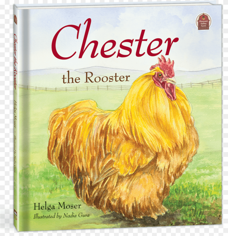 Chester The Rooster, Animal, Bird, Chicken, Fowl Png Image
