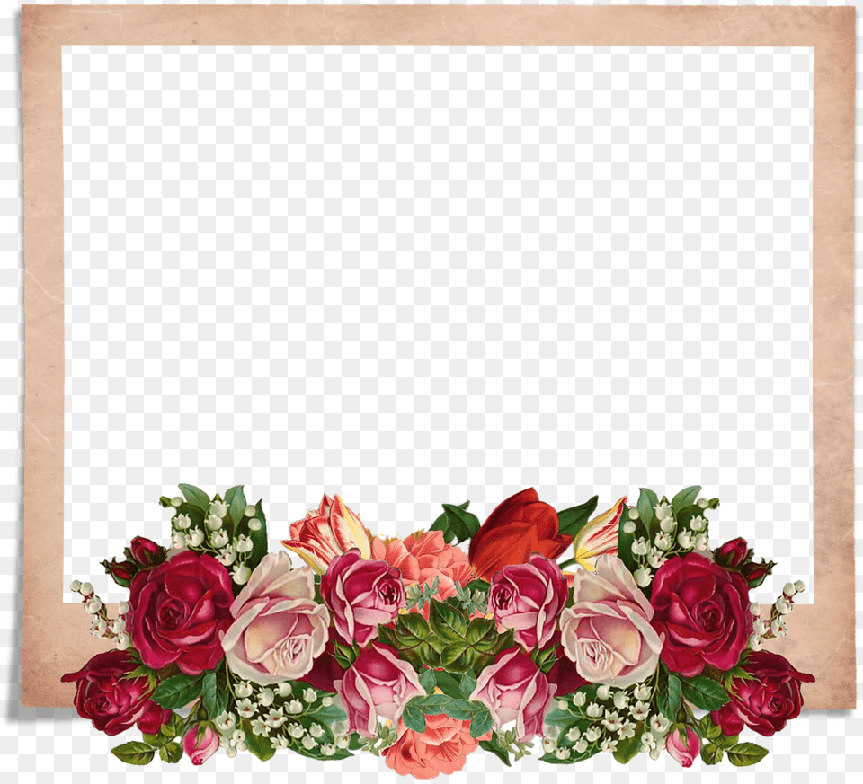 Chestit 8 Mi Mart Bingkai Foto Bunga, Art, Floral Design, Flower, Flower Arrangement Free Transparent Png