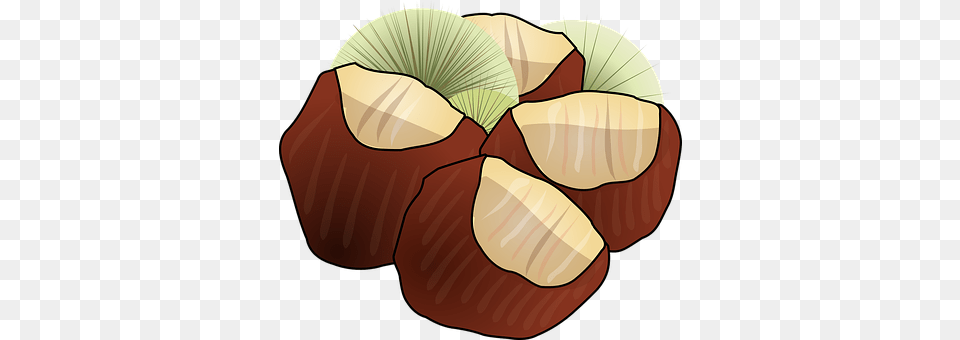 Chestnut Food, Nut, Plant, Produce Png Image