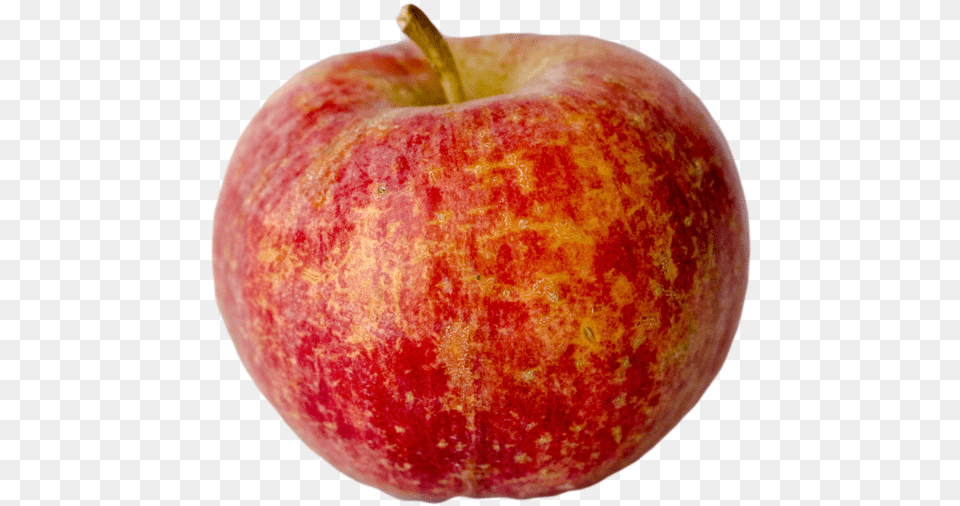 Chestnut Apple Tree U2014 Champlain Orchards, Food, Fruit, Plant, Produce Png Image