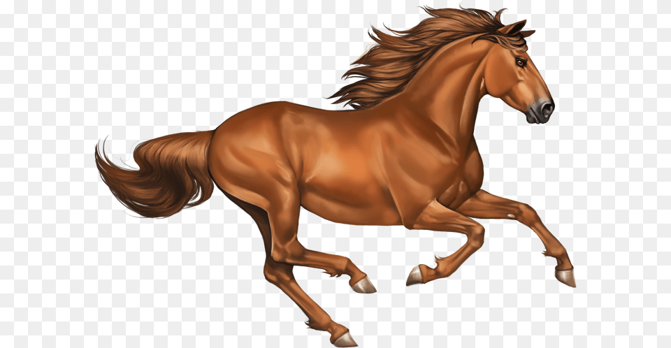 Chestnut Clipart Horse Mustang, Animal, Colt Horse, Mammal, Adult Png