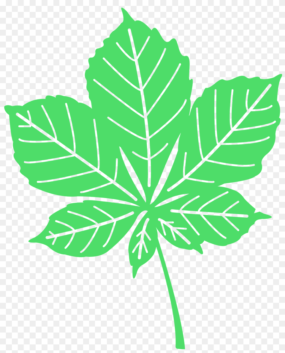 Chestnut Leaf Silhouette, Plant, Tree, Maple Leaf Png