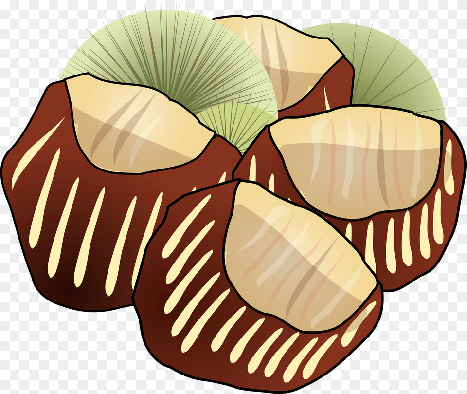 Chestnuts Clipart, Animal, Clam, Food, Invertebrate Free Transparent Png