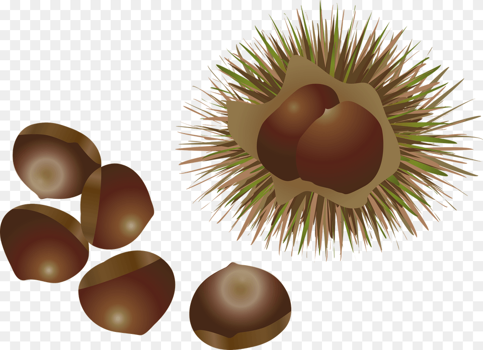 Chestnuts Food Clipart, Nut, Plant, Produce, Vegetable Free Png Download