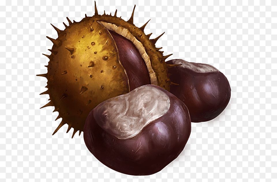 Chestnuts Fruit, Food, Nut, Plant, Produce Png