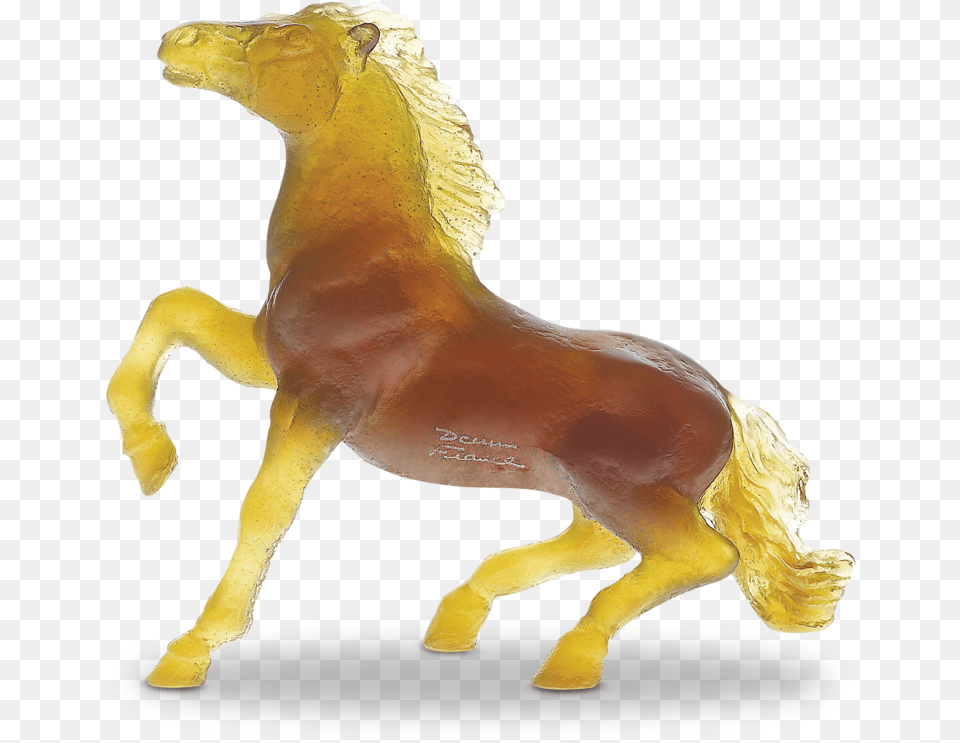 Cheval Ambre, Animal, Colt Horse, Horse, Mammal Free Png Download