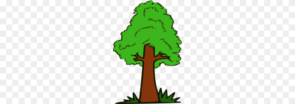 Chevrolet Diagram, Green, Vegetation, Tree Trunk, Tree Free Png Download
