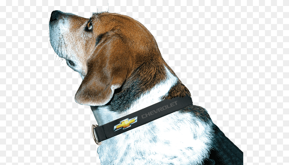 Chevy Bowtie Dog Collar Chevy Dog, Accessories, Animal, Canine, Hound Png