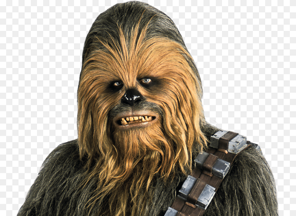 Chewbacca, Portrait, Photography, Face, Head Png