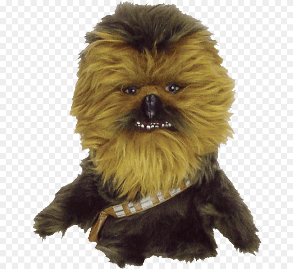 Chewbacca, Animal, Canine, Mammal, Dog Png Image