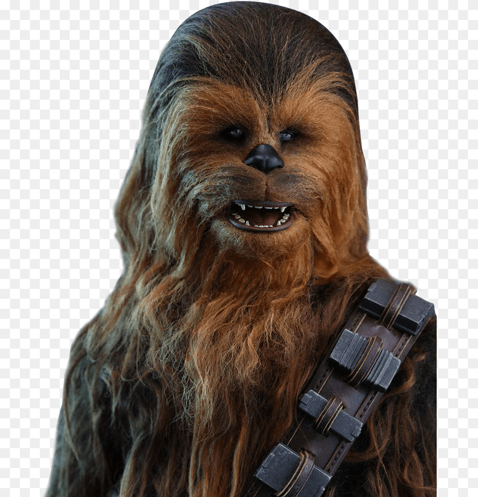 Chewbacca, Accessories, Person, Female, Adult Png