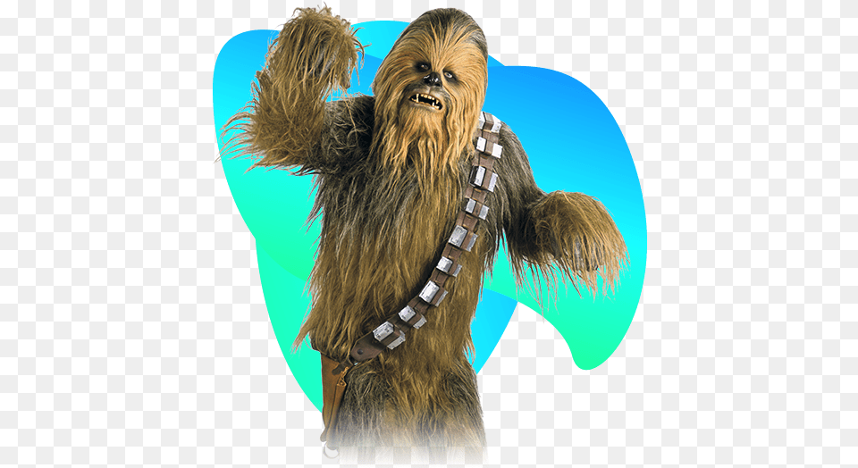 Chewbacca Chewbacca Full, Animal, Canine, Dog, Mammal Png